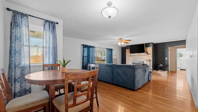 dining room featuring ceiling fan, a wealth of natural light, and light hardwood / wood-style flooring