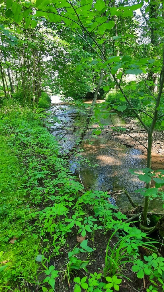 11936 Yankee St, Fredericktown, OH 43019 - photo 35