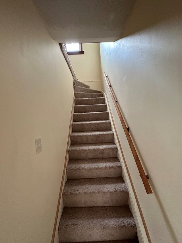 317 Dale Ave, Willard, OH 44890 - photo 22