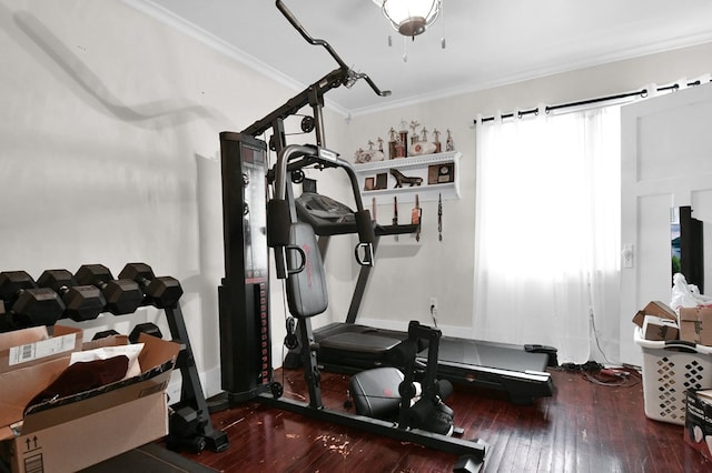 workout area with crown molding and dark hardwood / wood-style floors