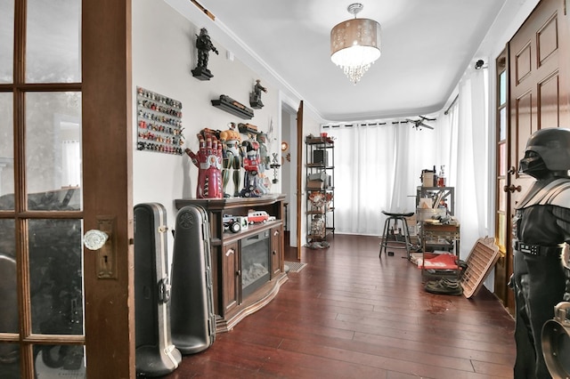 interior space with dark hardwood / wood-style floors and crown molding