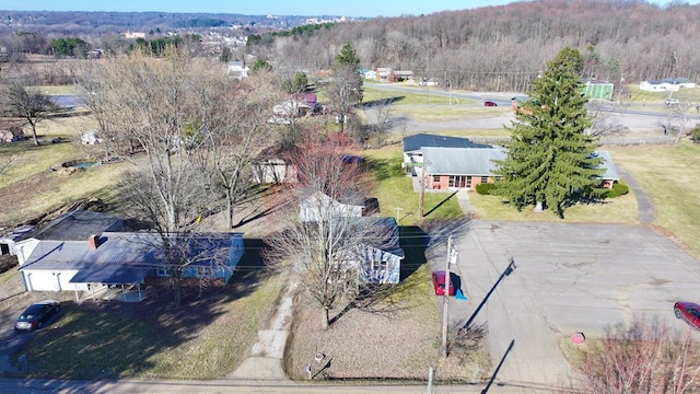 bird's eye view with a view of trees