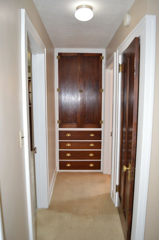 1211 S Sandusky Ave, Bucyrus, OH 44820 - corridor with light carpet and baseboards