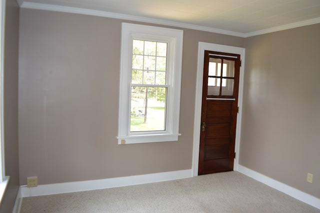 1211 S Sandusky Ave, Bucyrus, OH 44820 - entryway with ornamental molding, carpet flooring, and baseboards