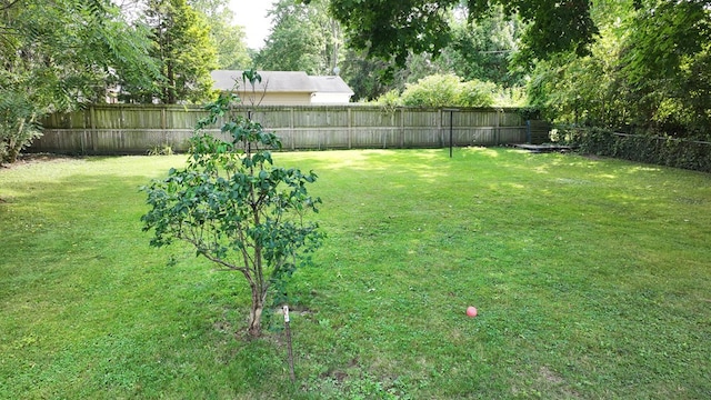 761 Maple St, Mansfield, OH 44906 - photo 29