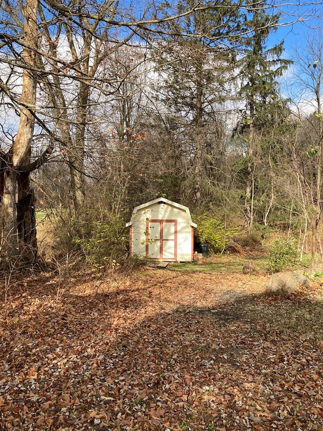 view of yard with a shed