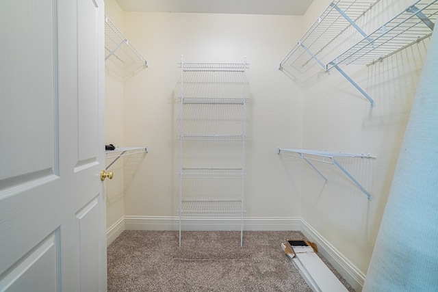 spacious closet with carpet