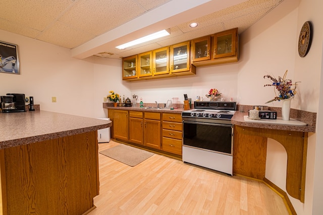 kitchen with stove, light hardwood / wood-style flooring, and sink