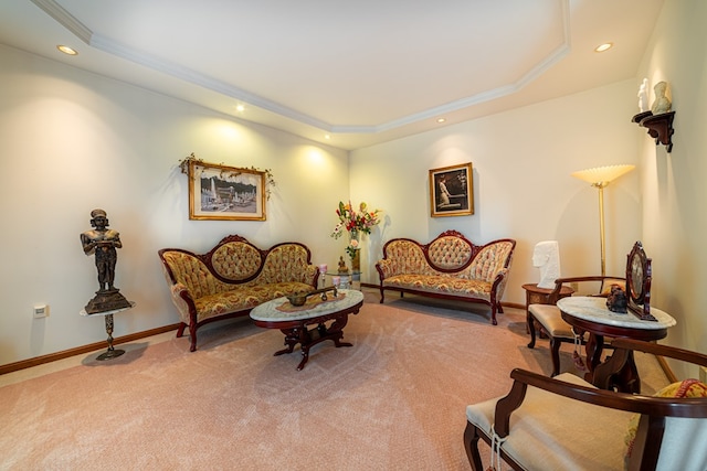 sitting room with carpet flooring and a raised ceiling