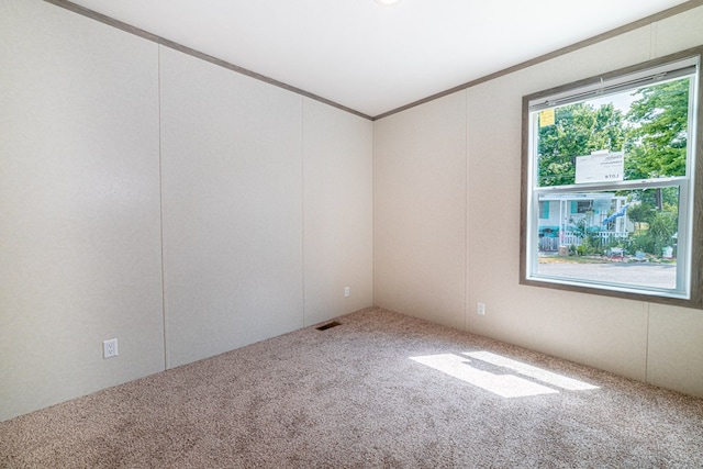 empty room with carpet flooring and ornamental molding