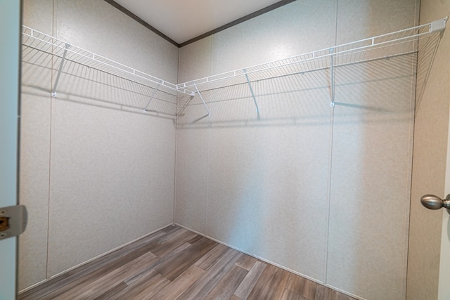 walk in closet featuring hardwood / wood-style floors