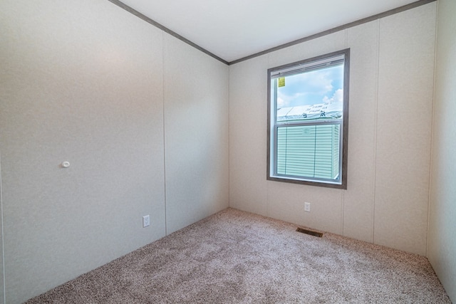 unfurnished room with crown molding and light carpet