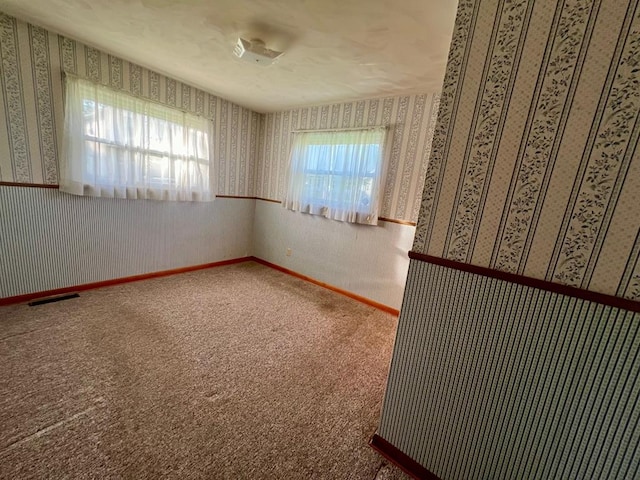 spare room with carpet