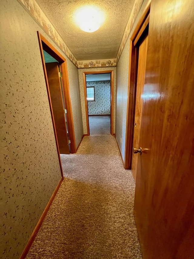 hall featuring light carpet and a textured ceiling