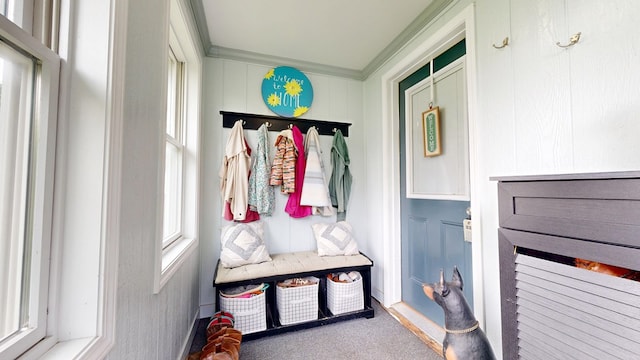 12 W Park Dr, Shelby, OH 44875 - mudroom featuring carpet flooring, ornamental molding, and plenty of natural light