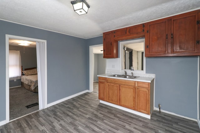 kitchen with dark hardwood / wood-style flooring, sink, and a textured ceiling