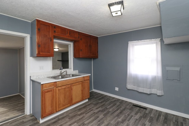 kitchen featuring dark hardwood / wood-style flooring, sink, and a textured ceiling