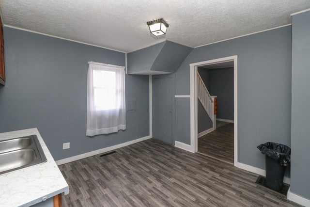 interior space featuring a textured ceiling, dark hardwood / wood-style floors, and sink