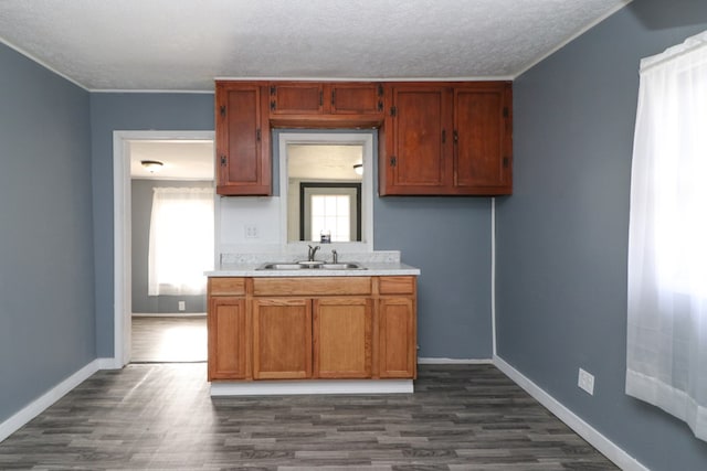 kitchen with a textured ceiling, dark hardwood / wood-style floors, and sink