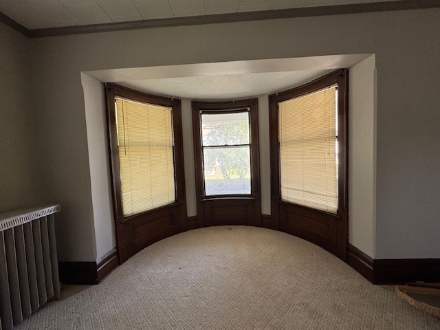 317 S Spring St, Bucyrus, OH 44820 - photo 7