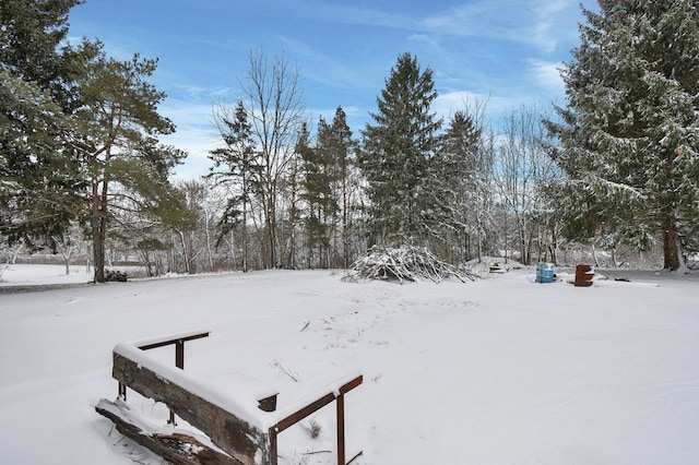 view of yard covered in snow