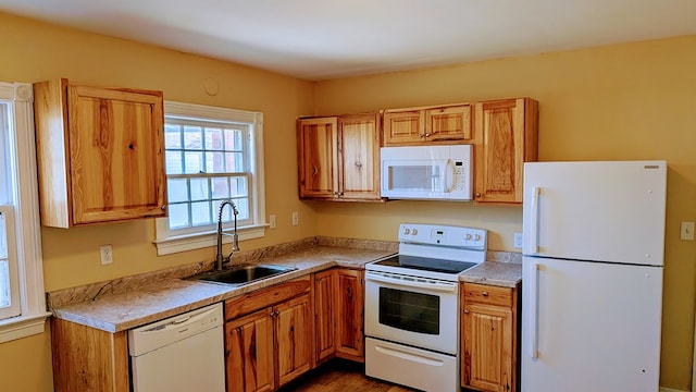 kitchen featuring light countertops, a sink, dark wood-style flooring, and white appliances