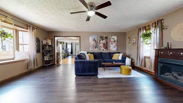 41 Auburn Ave, Shelby, OH 44875 - living room with plenty of natural light, dark wood-style flooring, and a ceiling fan
