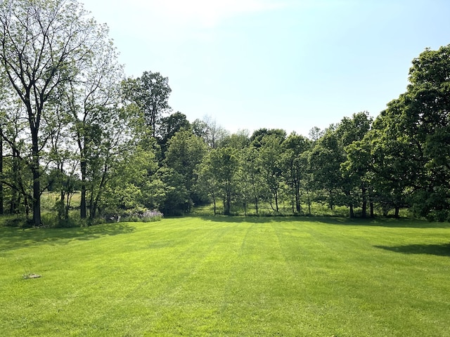 242 S Lexington Springmill Rd, Mansfield, OH 44906 - photo 6
