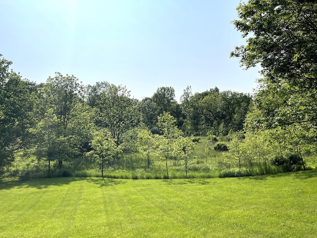 242 S Lexington Springmill Rd, Mansfield, OH 44906 - photo 7