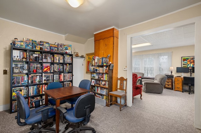 carpeted office with crown molding