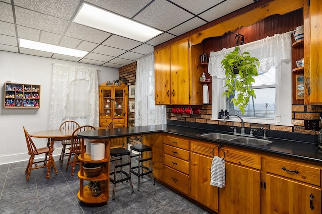 kitchen with a drop ceiling and sink