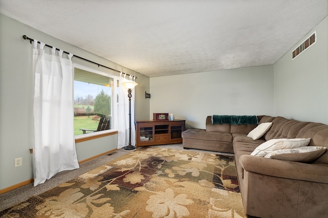 carpeted living room with a textured ceiling