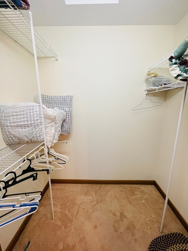 spacious closet featuring carpet