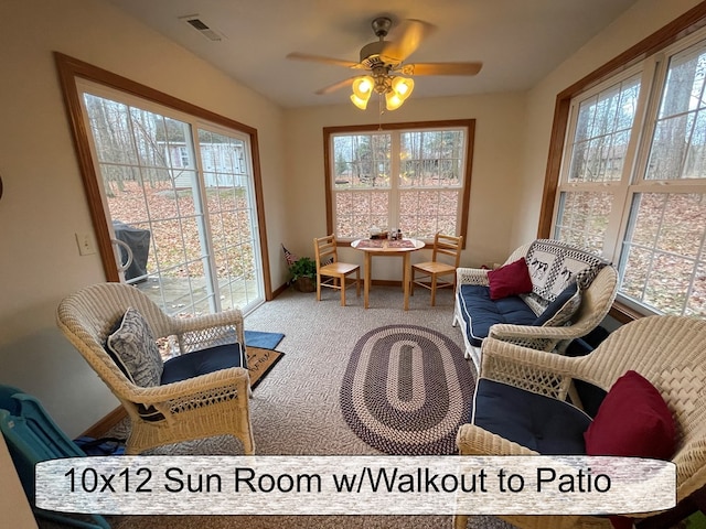 interior space featuring ceiling fan, carpet, and a healthy amount of sunlight