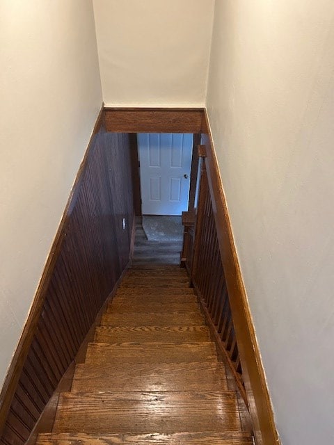 staircase featuring hardwood / wood-style floors