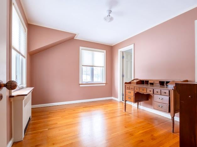 interior space featuring hardwood / wood-style floors