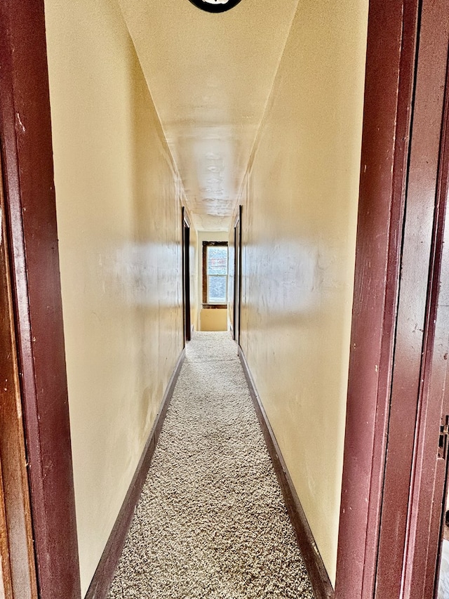 hall featuring carpet flooring