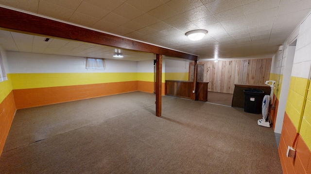 basement featuring carpet