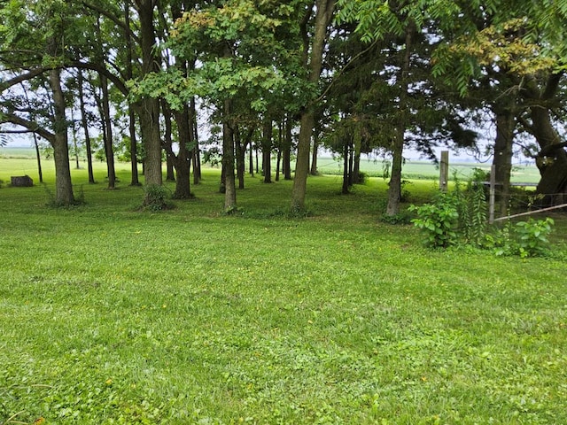3056 Mccracken Rd, Bucyrus, OH 44820 - photo 35