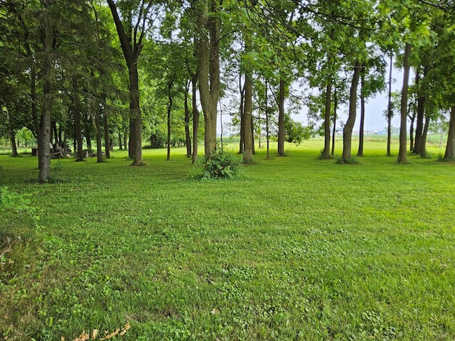 3056 Mccracken Rd, Bucyrus, OH 44820 - photo 34