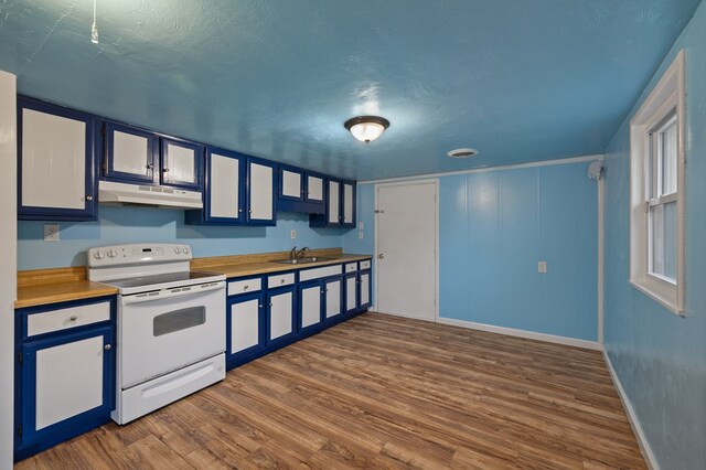 933 Fairfax Ave, Mansfield, OH 44906 - kitchen with white range with electric stovetop, under cabinet range hood, a sink, dark wood-type flooring, and light countertops