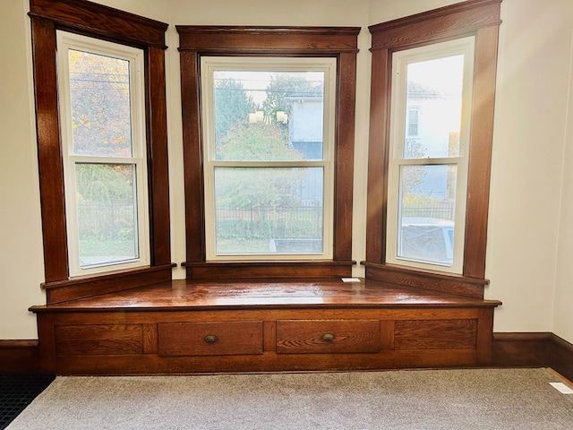 room details featuring carpet flooring