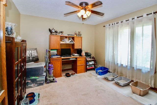 1320 Oakridge Rd, Bucyrus, OH 44820 - office with carpet and a ceiling fan