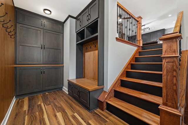 mudroom featuring dark wood-type flooring