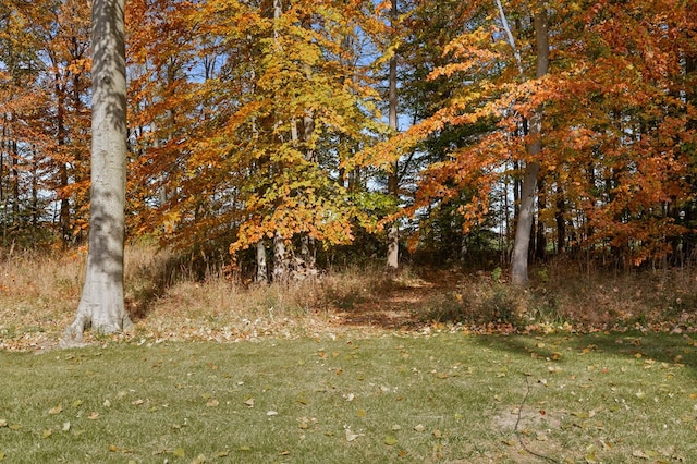 view of landscape