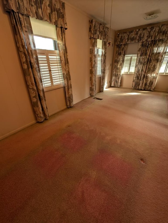 empty room featuring carpet and ornamental molding