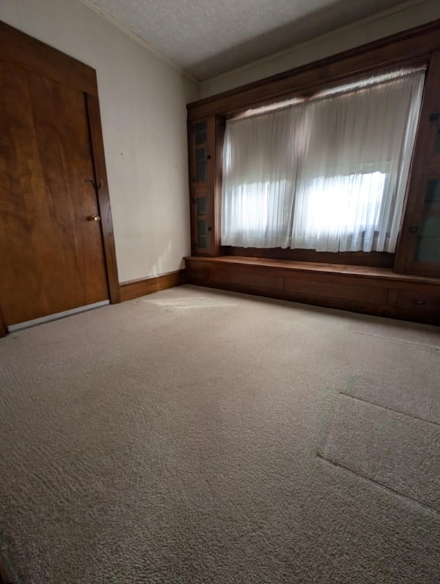 unfurnished room featuring carpet floors, a textured ceiling, and ornamental molding