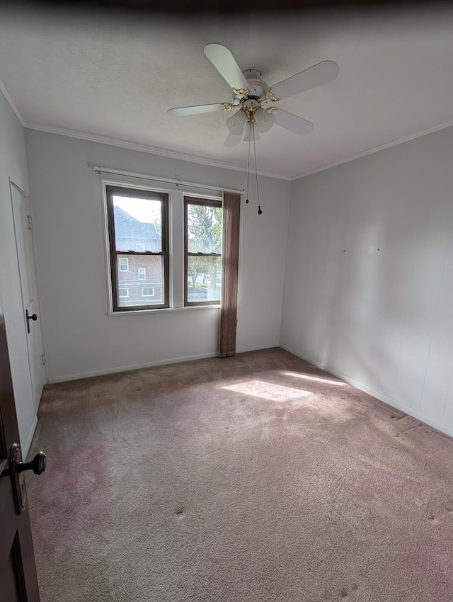 carpeted spare room featuring ceiling fan and ornamental molding