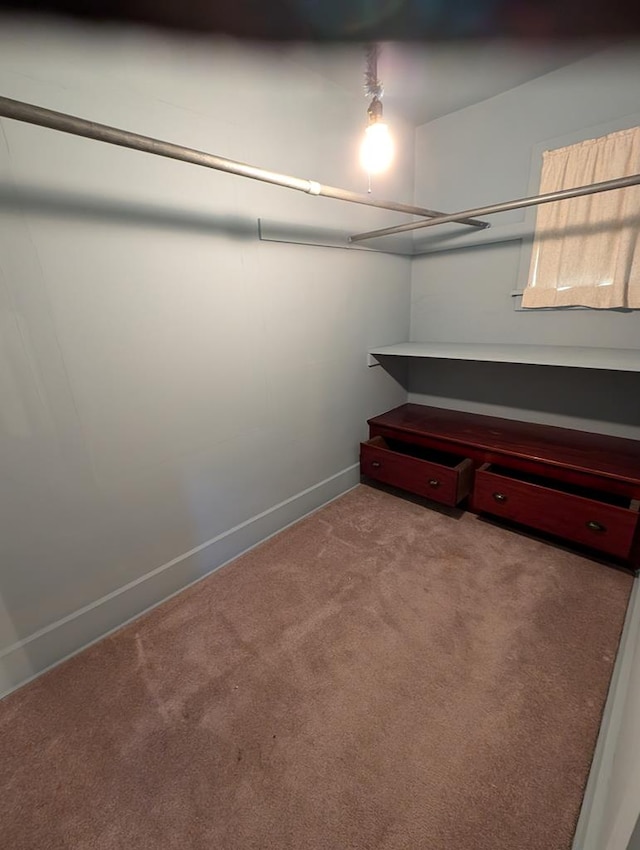 walk in closet with carpet flooring