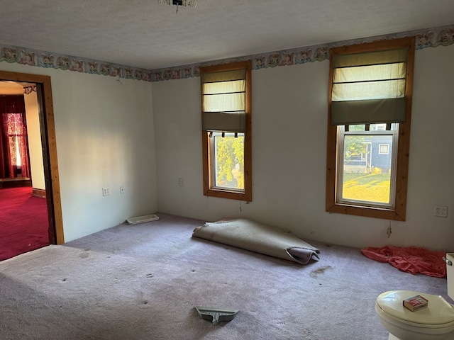 325 E Mansfield St, Bucyrus, OH 44820 - unfurnished room with carpet and a textured ceiling